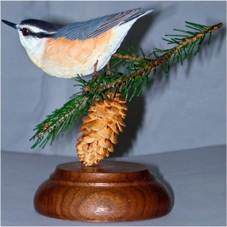 Carver: Olaf Karbinski
Title: Nuthatch on Evergreen Branch
Wood: Tupelo, Brass & Copper Wire
Dimension: Life Size
Finish: Acrylics