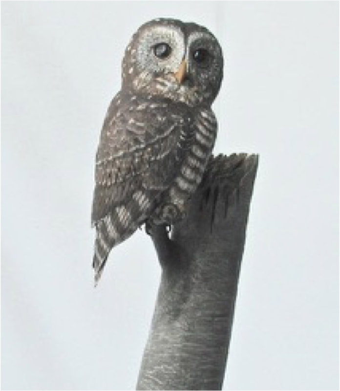 Carver: Olaf Karbinski
Title: African Wood Owl
Wood: Tupelo
Dimension: Half Size
Finish: Acrylics
